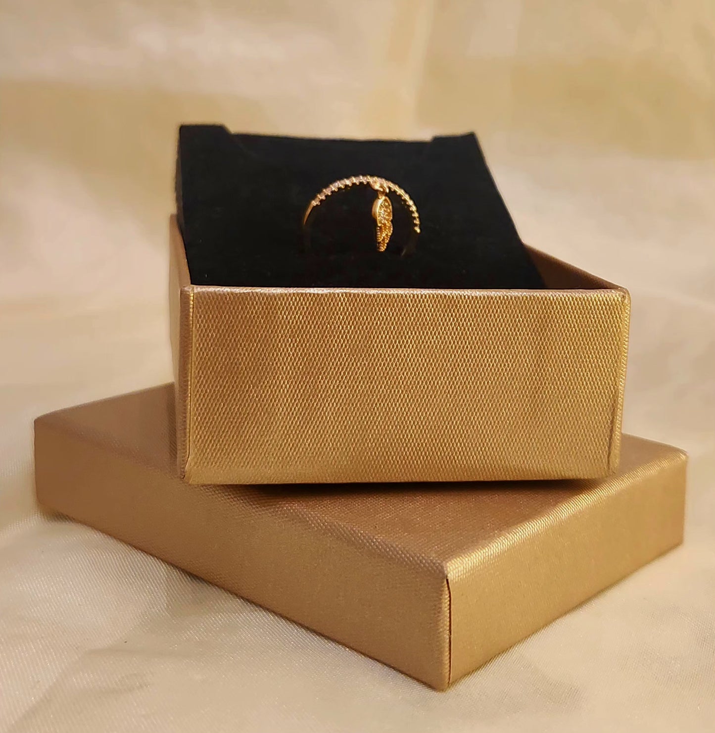Women's Jewelry_ "Wing Design"