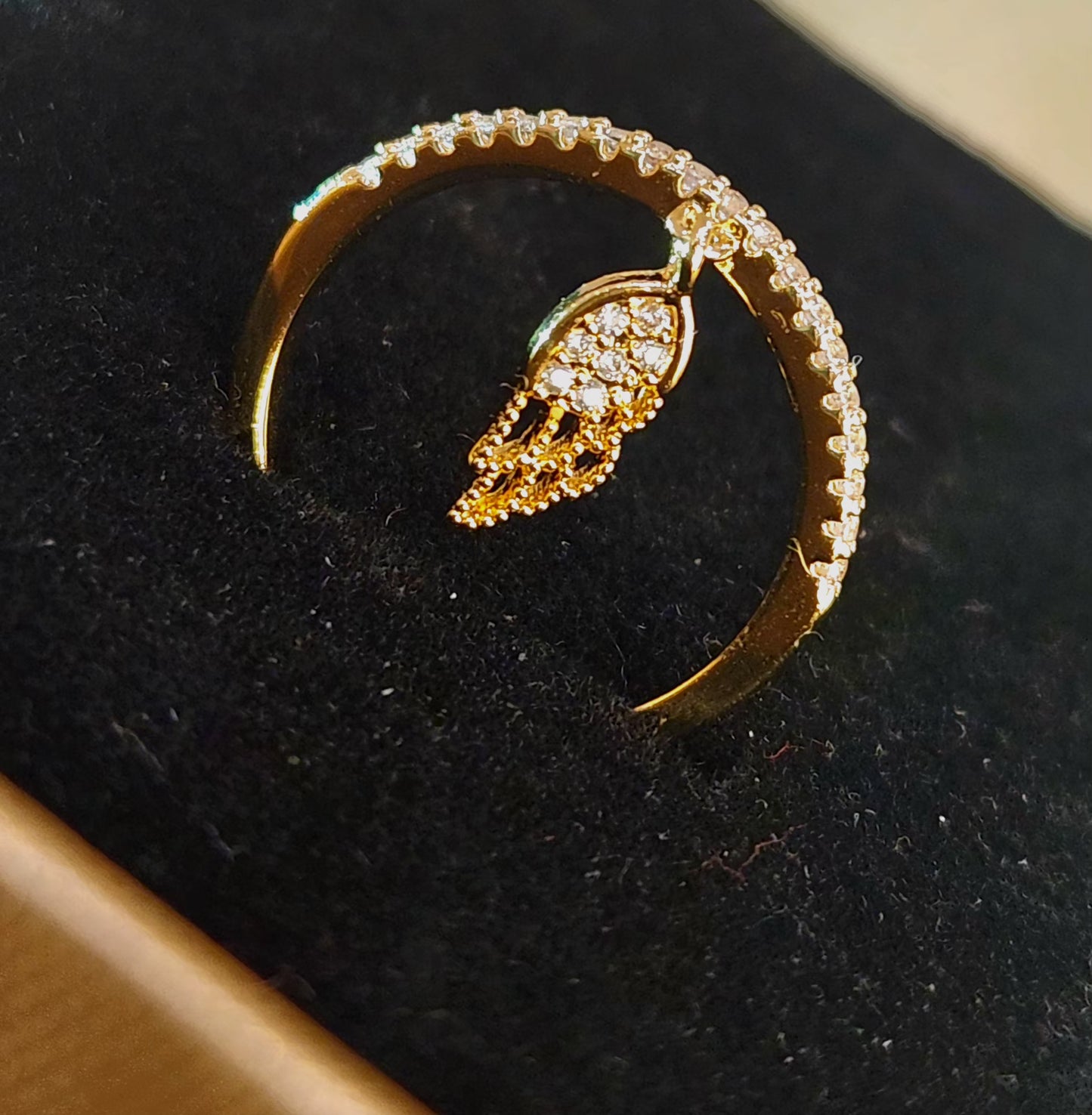 Women's Jewelry_ "Wing Design"